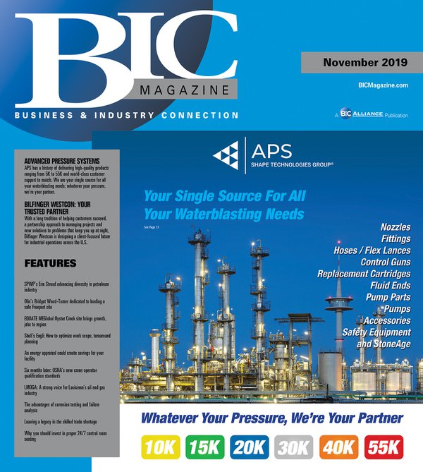 BIC Nov 2019 front cover.jpg