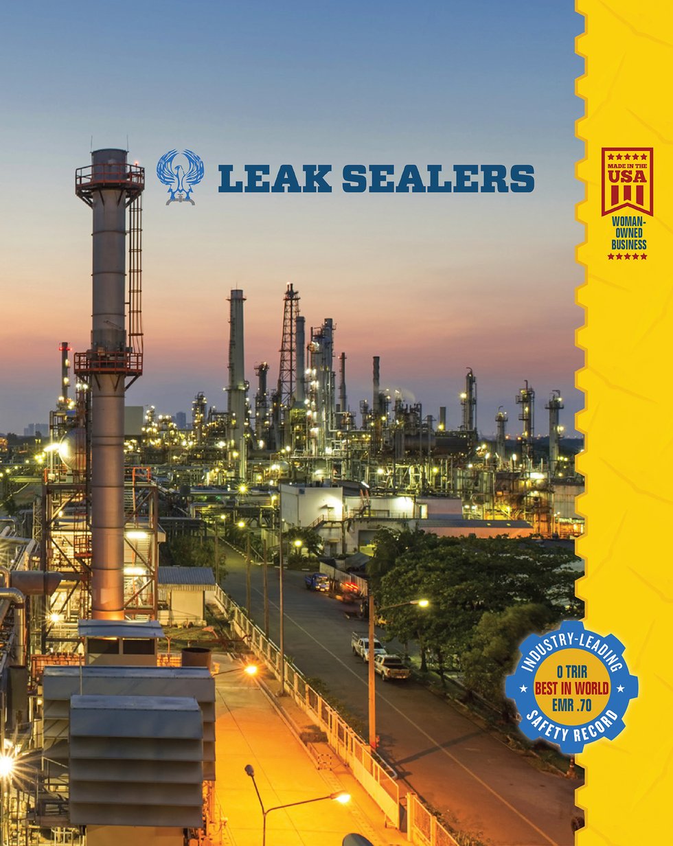 Leak Sealers insert cover.jpg