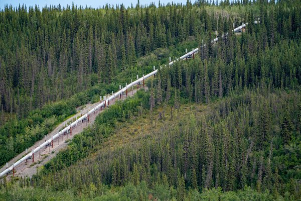 Trans Alaska Pipeline.jpeg