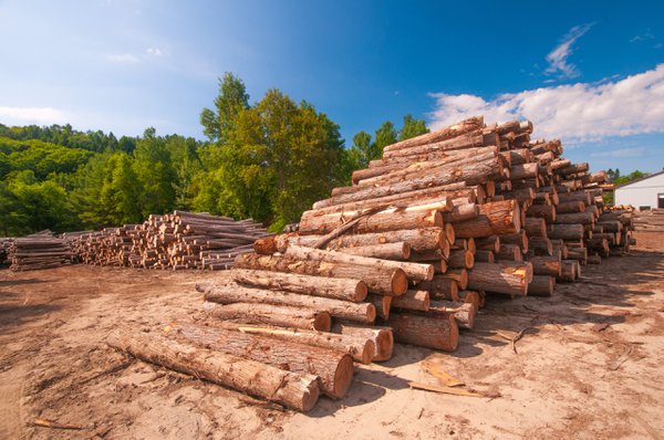 Louisiana lumber expansion