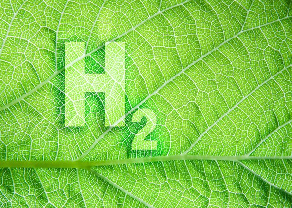 green hydrogen.jpg