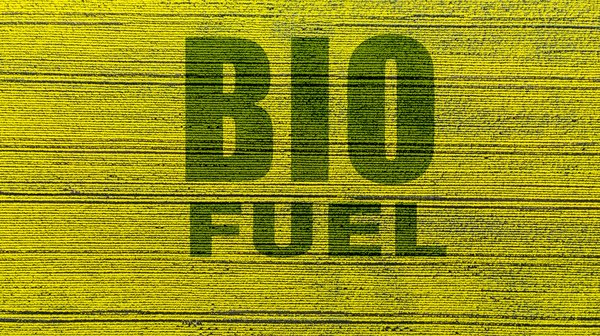 SGP BioEnergy announces world's largest advanced biofuel production facility