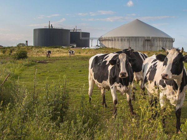 Aemetis signs 6 year agreement with Trillium to supply dairy renewable natural gas