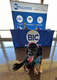 Charlotte BIC office pup.png