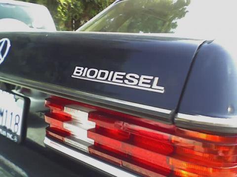 Biodiesel_3.jpg