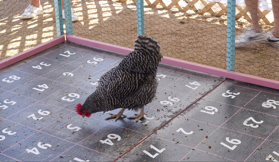 TCA Cornhole-23.png