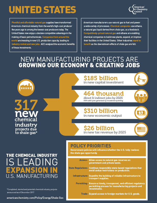 US Chemical Industry Infographic